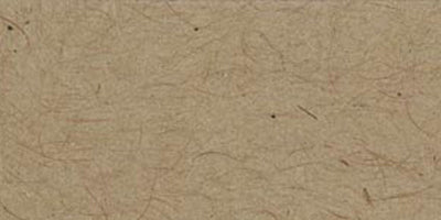 Bazzill Cardstock (8 1/2 x 11 pkg of 10)-Classic Smooth Ivory