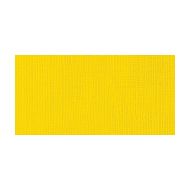 American Crafts 80lb Textured 12x12" Cardstock - 25 sheets, Assorted Styles