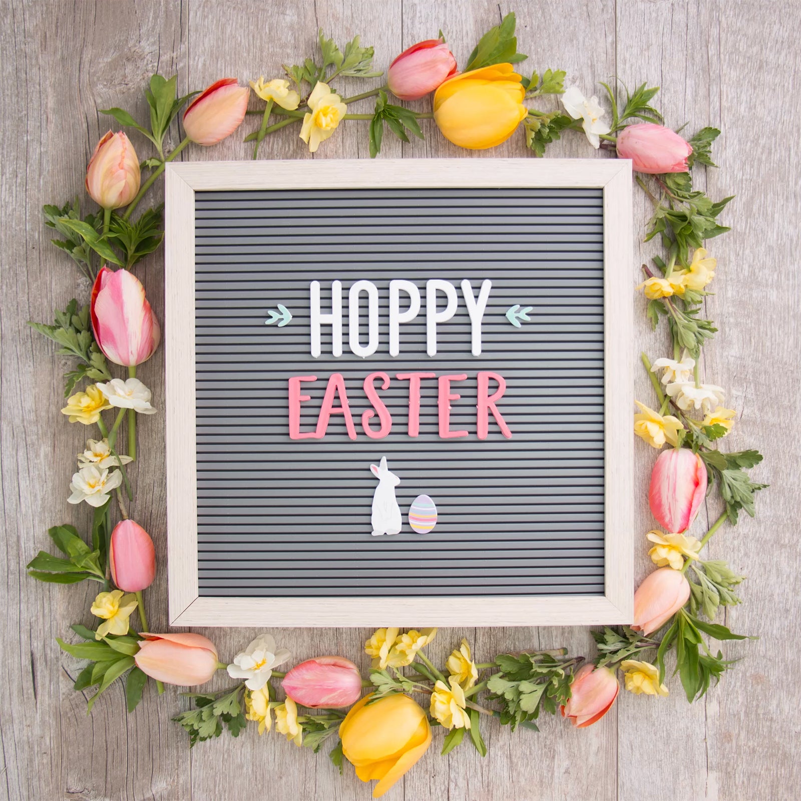 DCWV Letterboard 2" Letter Set