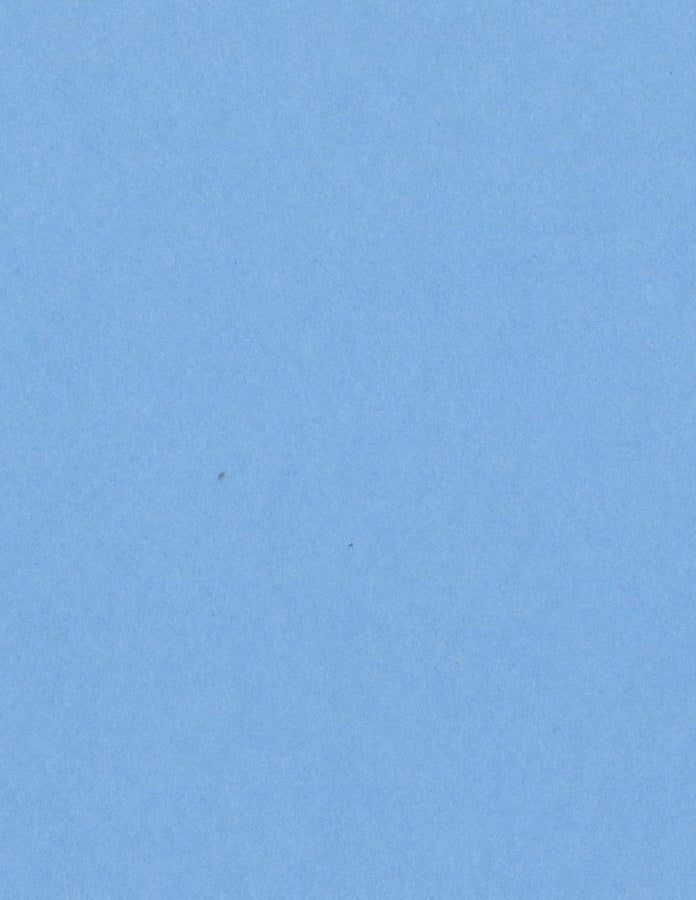 Bazzill Card Shoppe 8.5x11" Heavyweight Cardstock, 25 sheets - Available in Assorted Styles