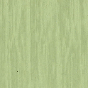 Bazzill Fourz 12x12" Cardstock, 25 sheets - Available in Multiple Colors