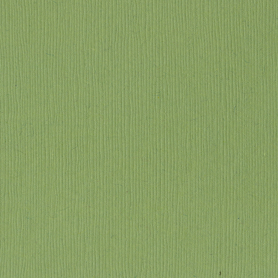 Bazzill Fourz 12x12" Cardstock, 25 sheets - Available in Multiple Colors