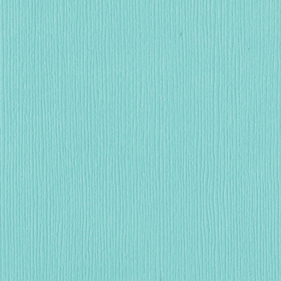 Bazzill Fourz 12x12" Cardstock, 25 sheets - Available in Multiple Colors