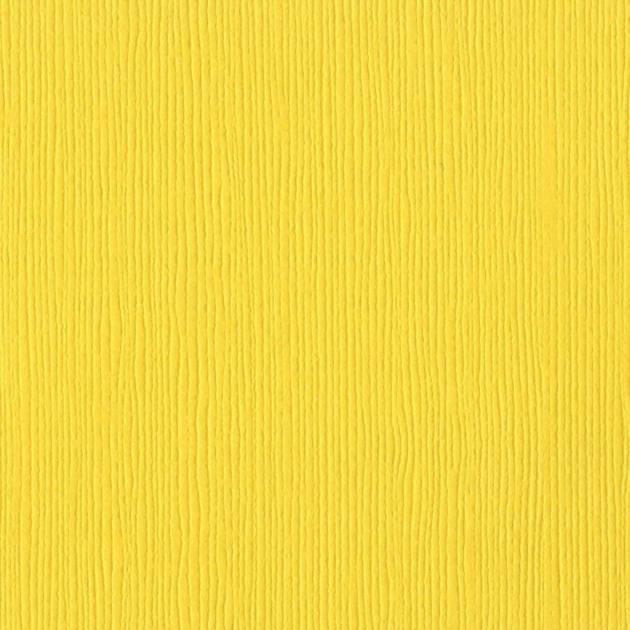 Bazzill Fourz 12x12" Cardstock, 25 sheets - Available in Multiple Colors