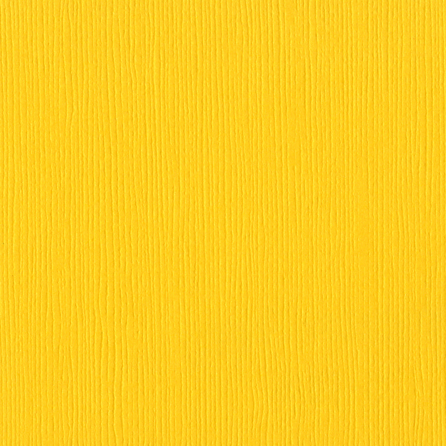 Bazzill Fourz 12x12" Cardstock, 25 sheets - Available in Multiple Colors