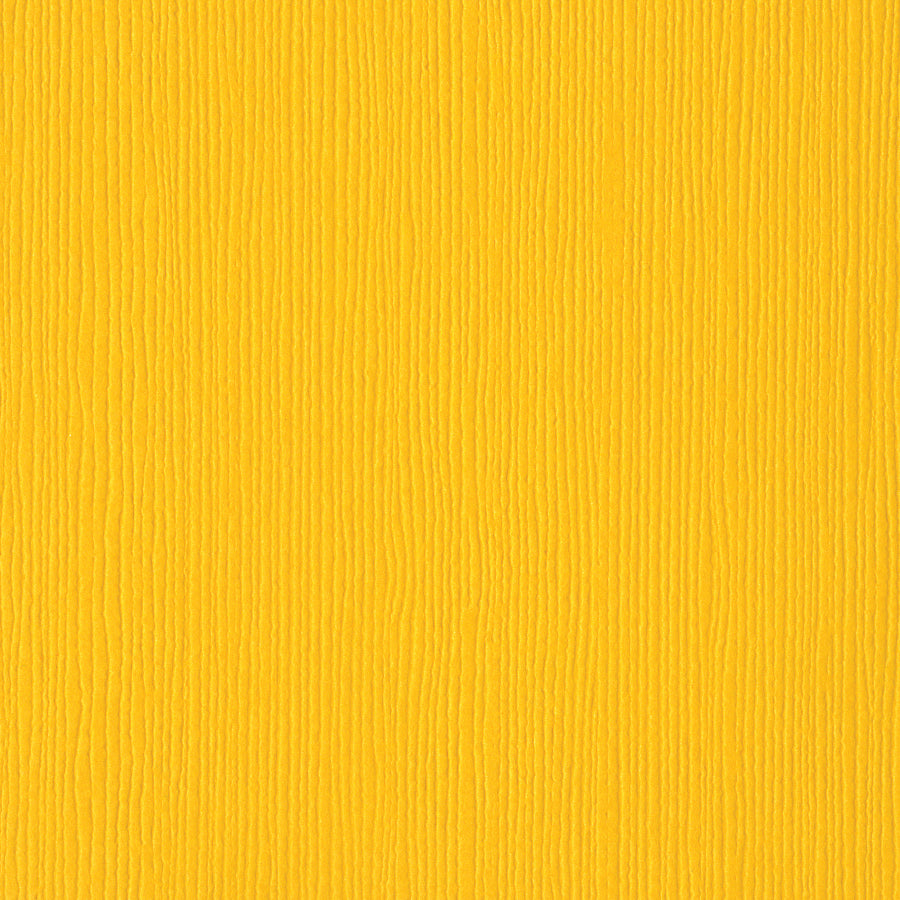 Bazzill Fourz 12x12" Cardstock, 25 sheets - Available in Multiple Colors