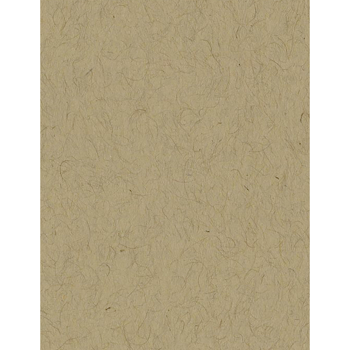 Bazzill Smoothies 8.5x11" Cardstock Packs