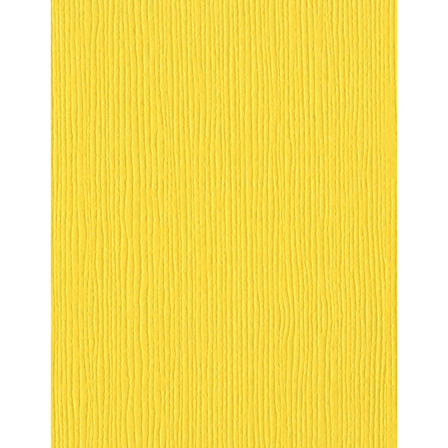 Bazzill Fourz 8.5x11" Cardstock Packs