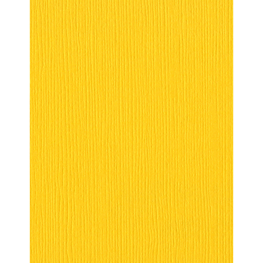 Bazzill Fourz 8.5x11" Cardstock Packs