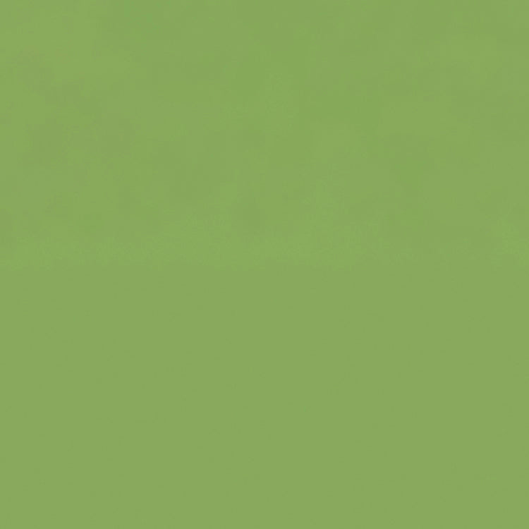 Bazzill Smoothies 12x12" Cardstock - 25 Sheets, Assorted Styles