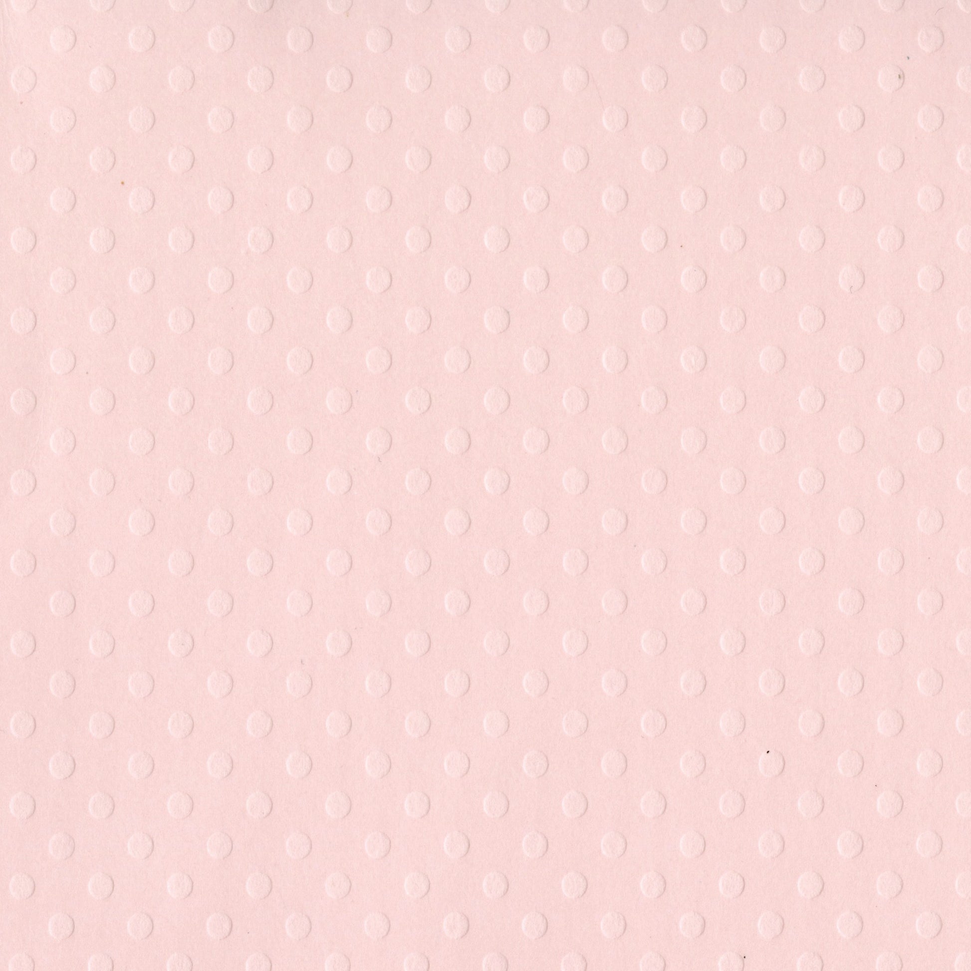 Bazzill 12x12" Dotted Swiss Cardstock Packs