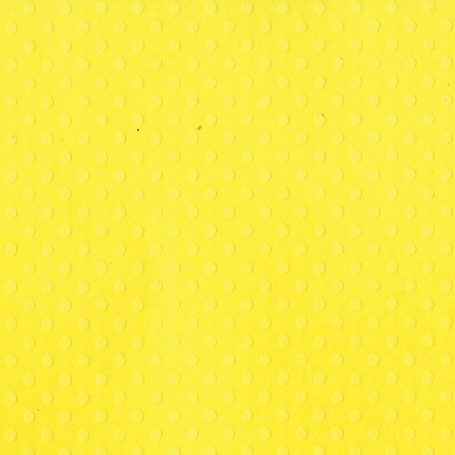 Bazzill 12x12" Dotted Swiss Cardstock Packs