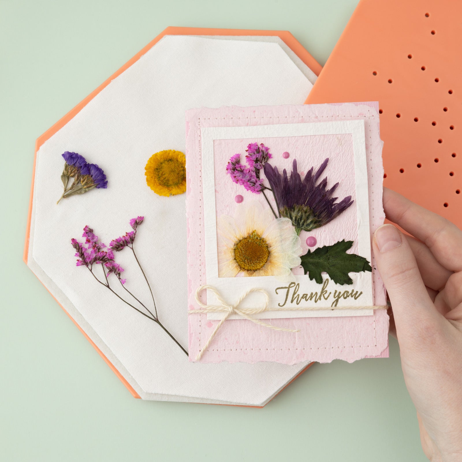 Pressed flowers on the American Crafts Quicksie Daisy Flower Press