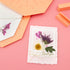 Pressed flower card next to American Crafts Quicksie Daisy Flower Press