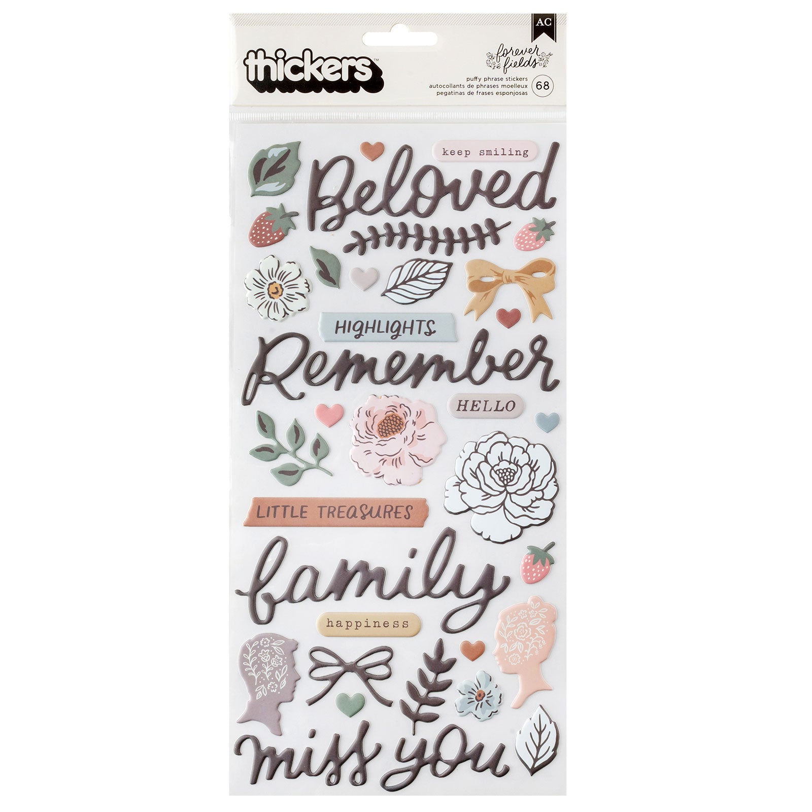 American Crafts Maggie Holmes Forever Fields Thickers Phrase Stickers - 68 Piece