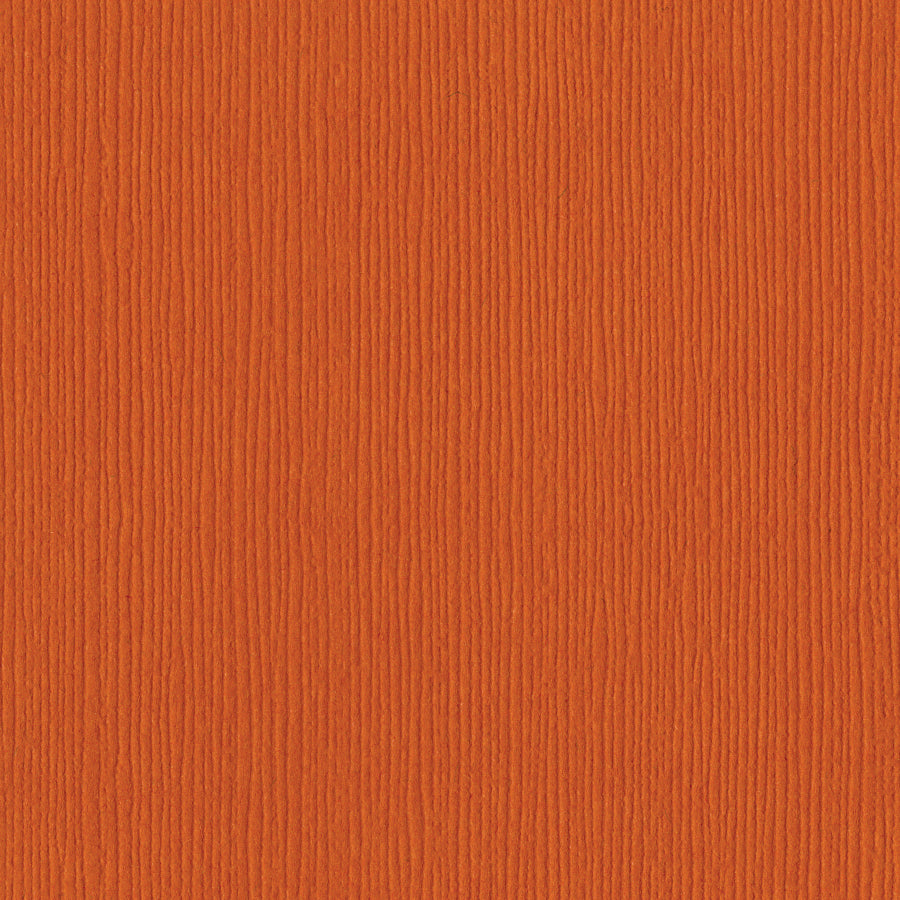 Bazzill Fourz 12x12" Cardstock, 25 sheets - Available in Multiple Colors