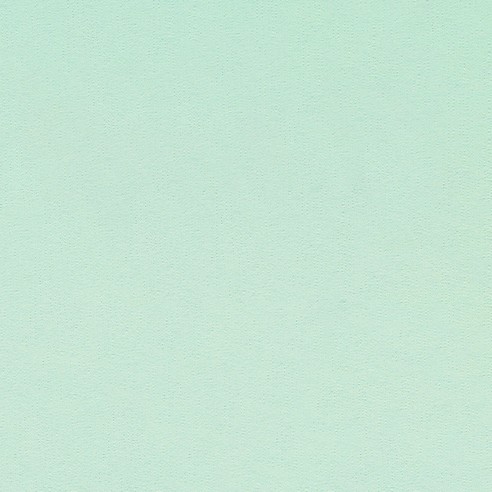 Bazzill Fourz 8.5x11" Cardstock, 25 sheets - Available in Assorted Styles