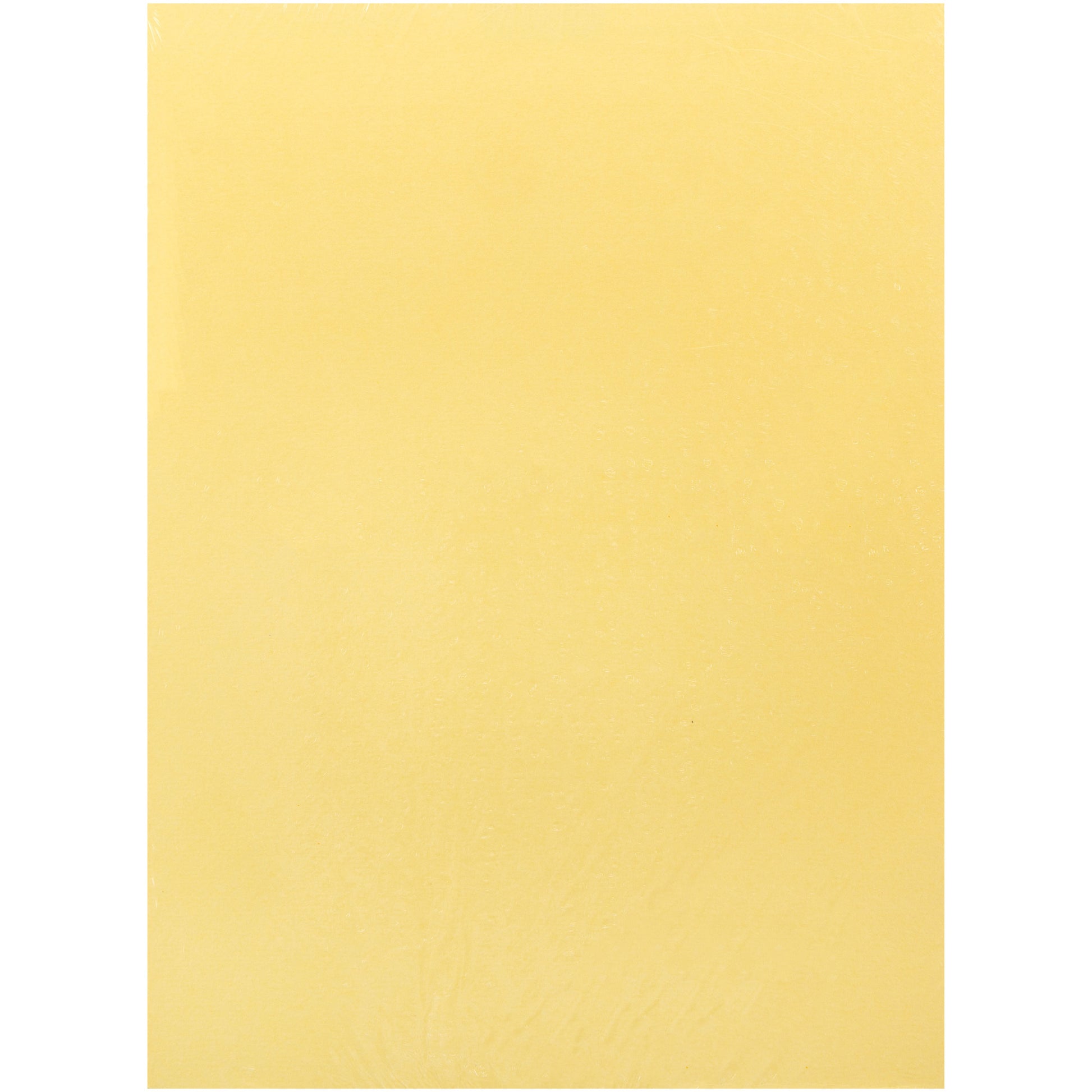 Bazzill Daisy 8.5x11" Textured Cardstock Pack