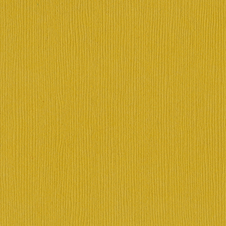 Bazzill Fourz 12x12" Cardstock, 25 sheets - Available in Multiple Colors