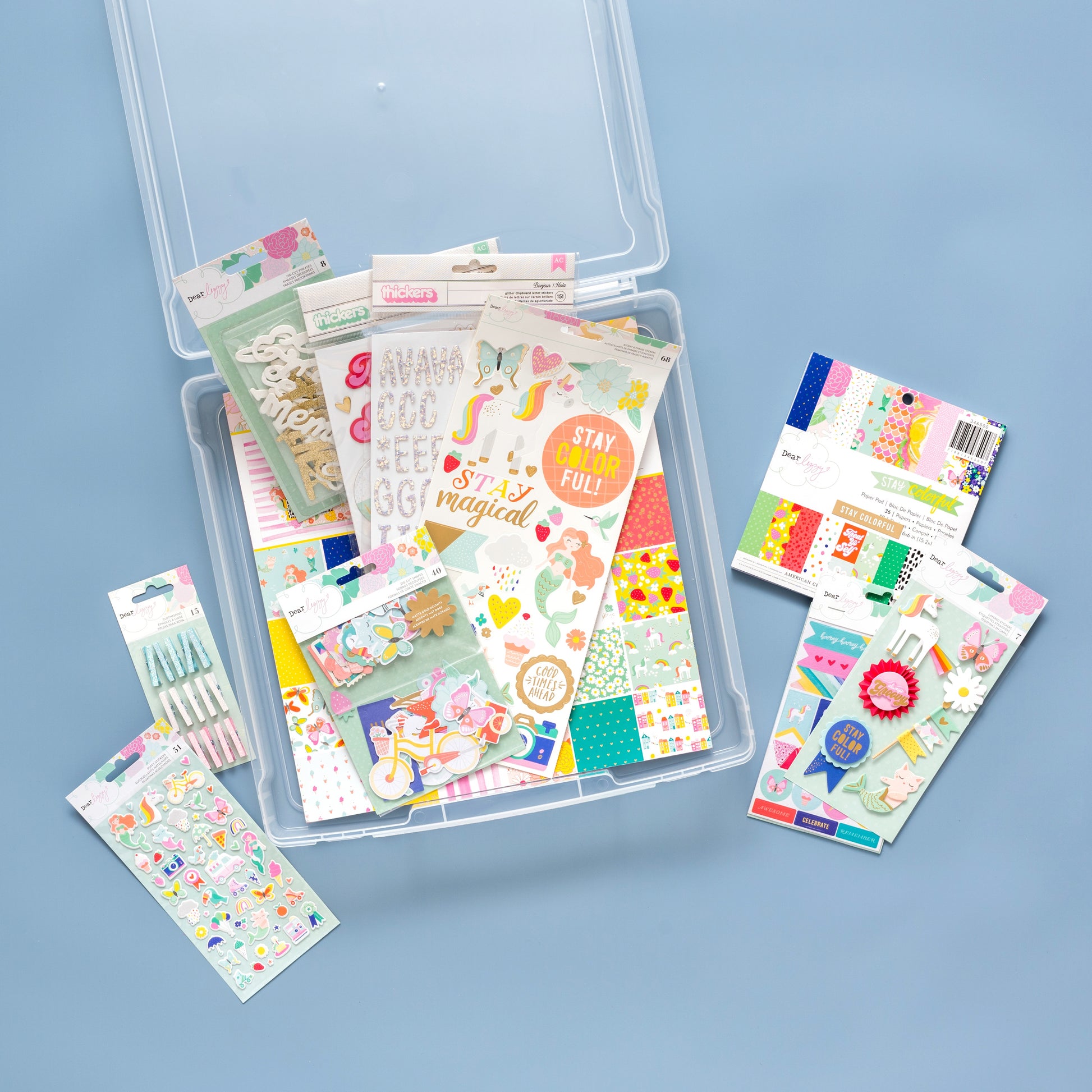 We R Large Flat Translucent Plastic Storage Case