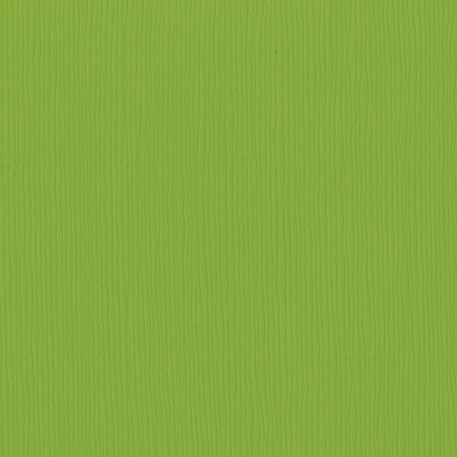 Bazzill Fourz 12x12" Cardstock, 25 sheets - Available in Multiple Colors