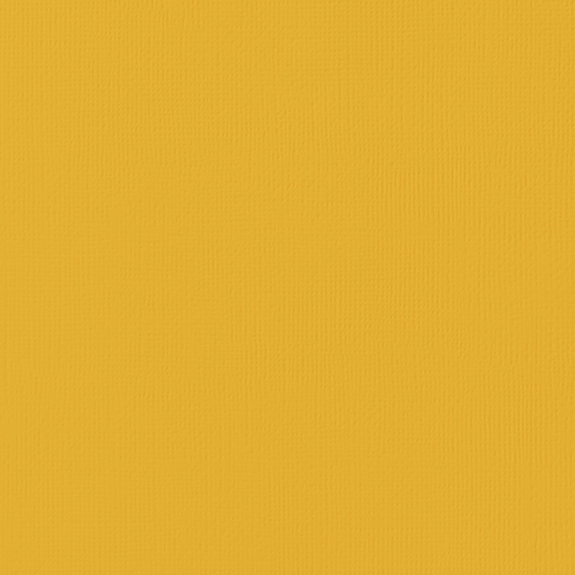 American Crafts 80lb Textured 12x12" Cardstock Packs