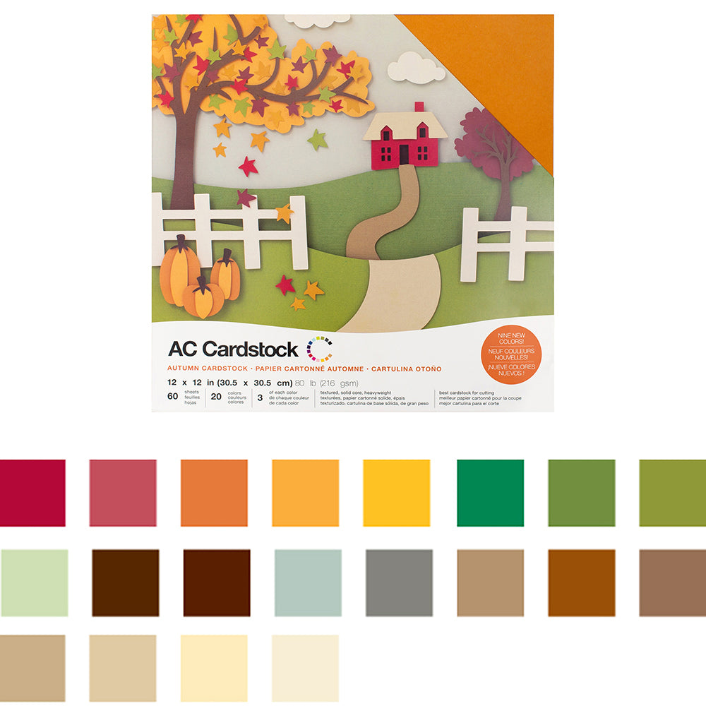 AC Cardstock Textured 12x12" Solid Color Variety Pack
