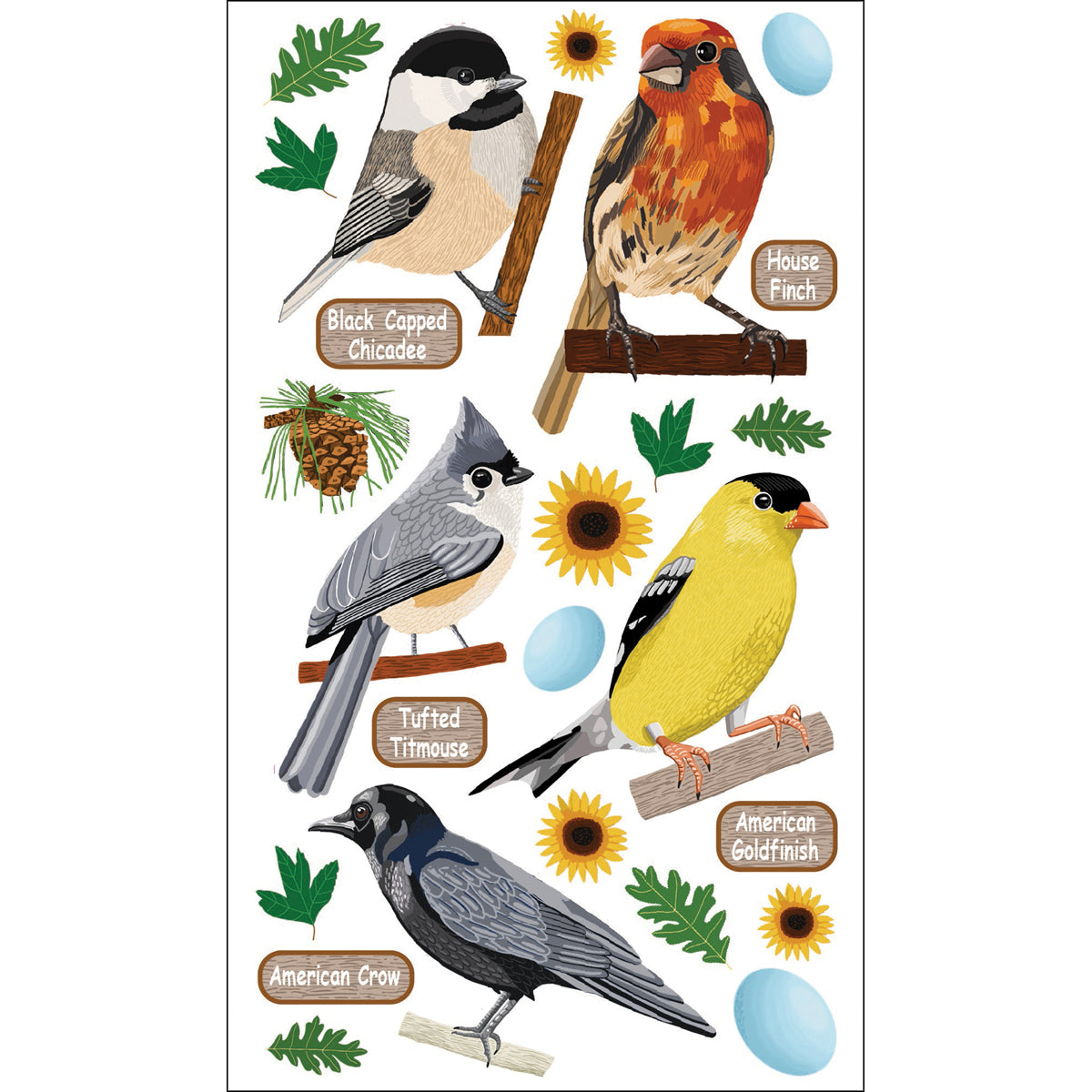 Sticko Stickers - Top U.S. Birds 1