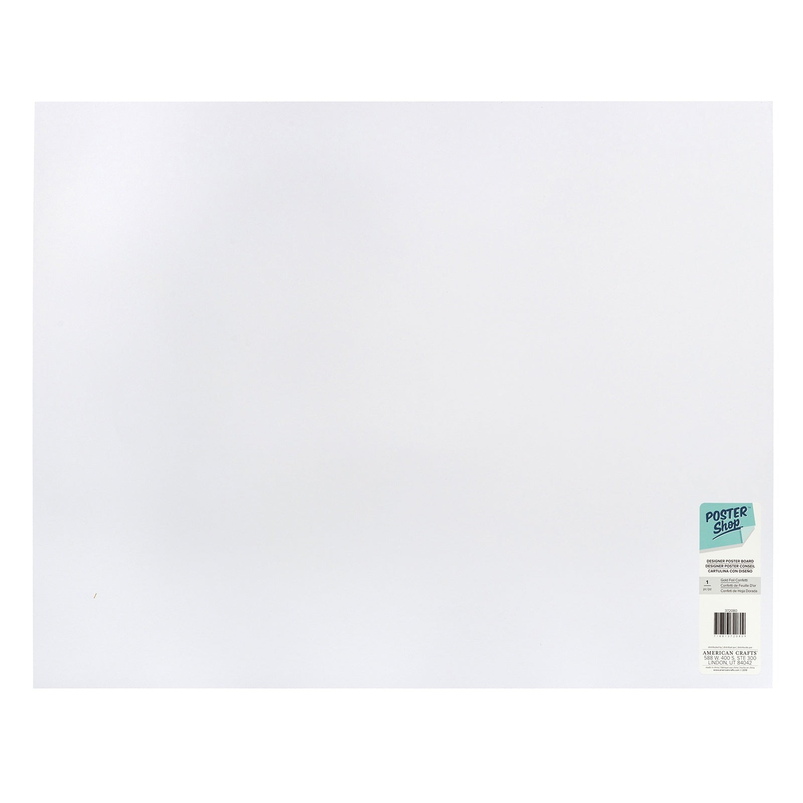 AC Poster Shop 22" x 28" Specialty Poster Board - Assorted Styles