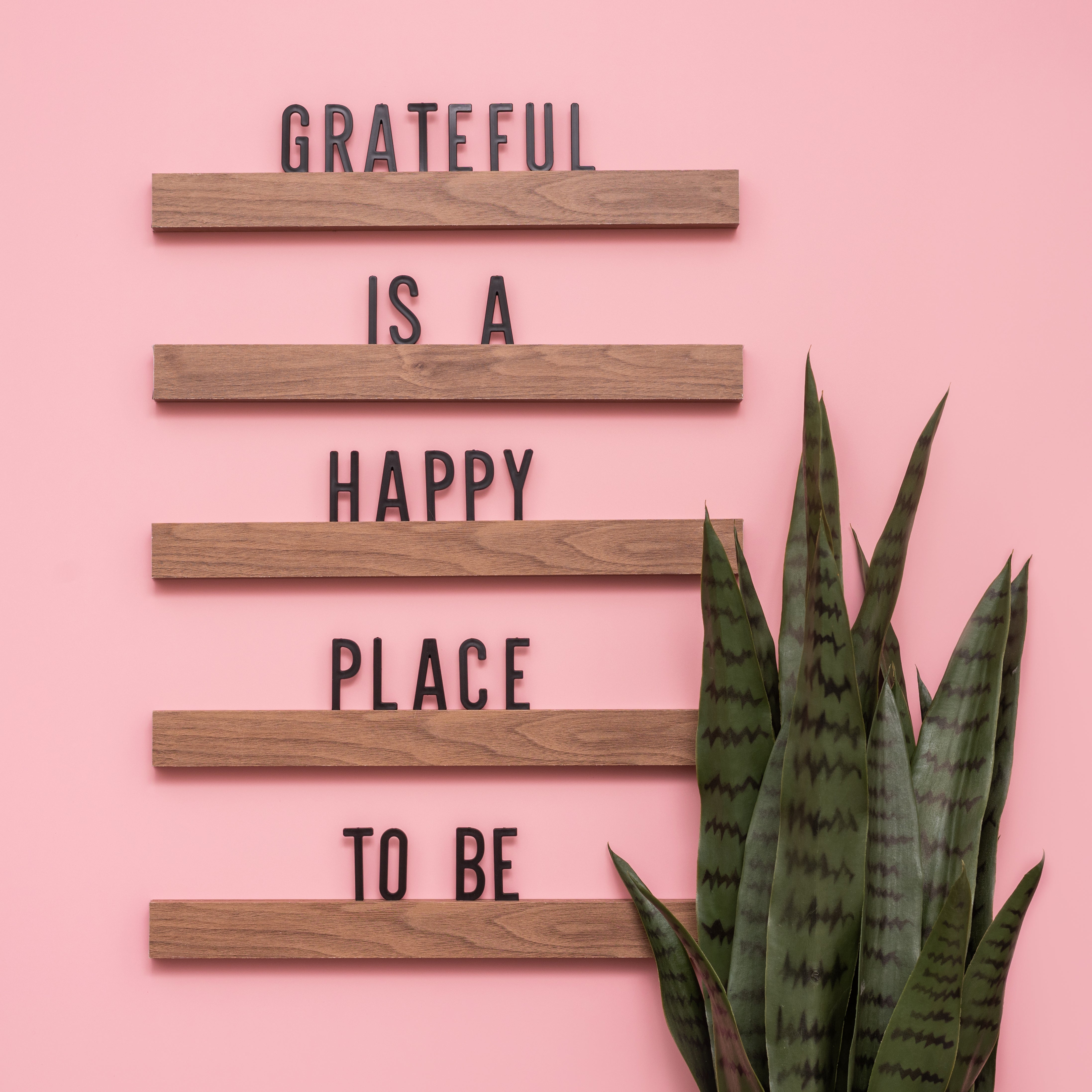 5pc Wood Ledge DCWV Letterboard Set with Black Letters - 16&quot;X1.5&quot;