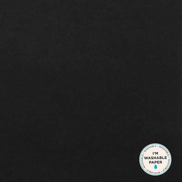 American Crafts Washable Matte Paper 12"X24"-Black
