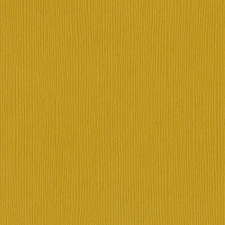 Bazzill Fourz 12x12" Cardstock, 25 sheets - Available in Multiple Colors