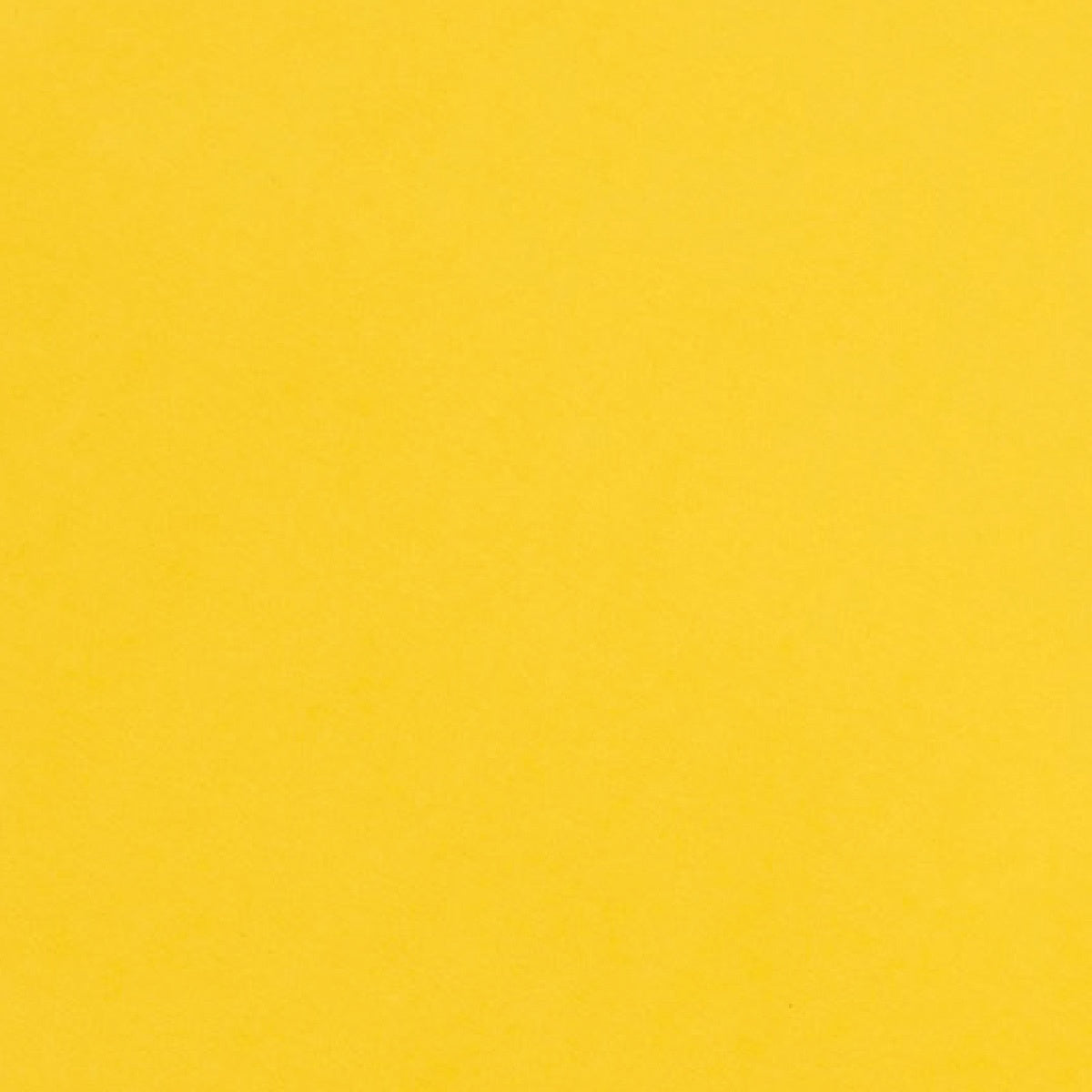 Core'dinations Core Foundations 12x12" Cardstock - Assorted Styles