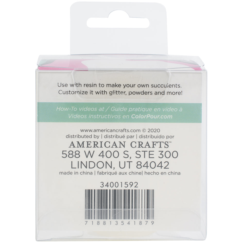 AC Color Pour Succulent Plant Resin Mold