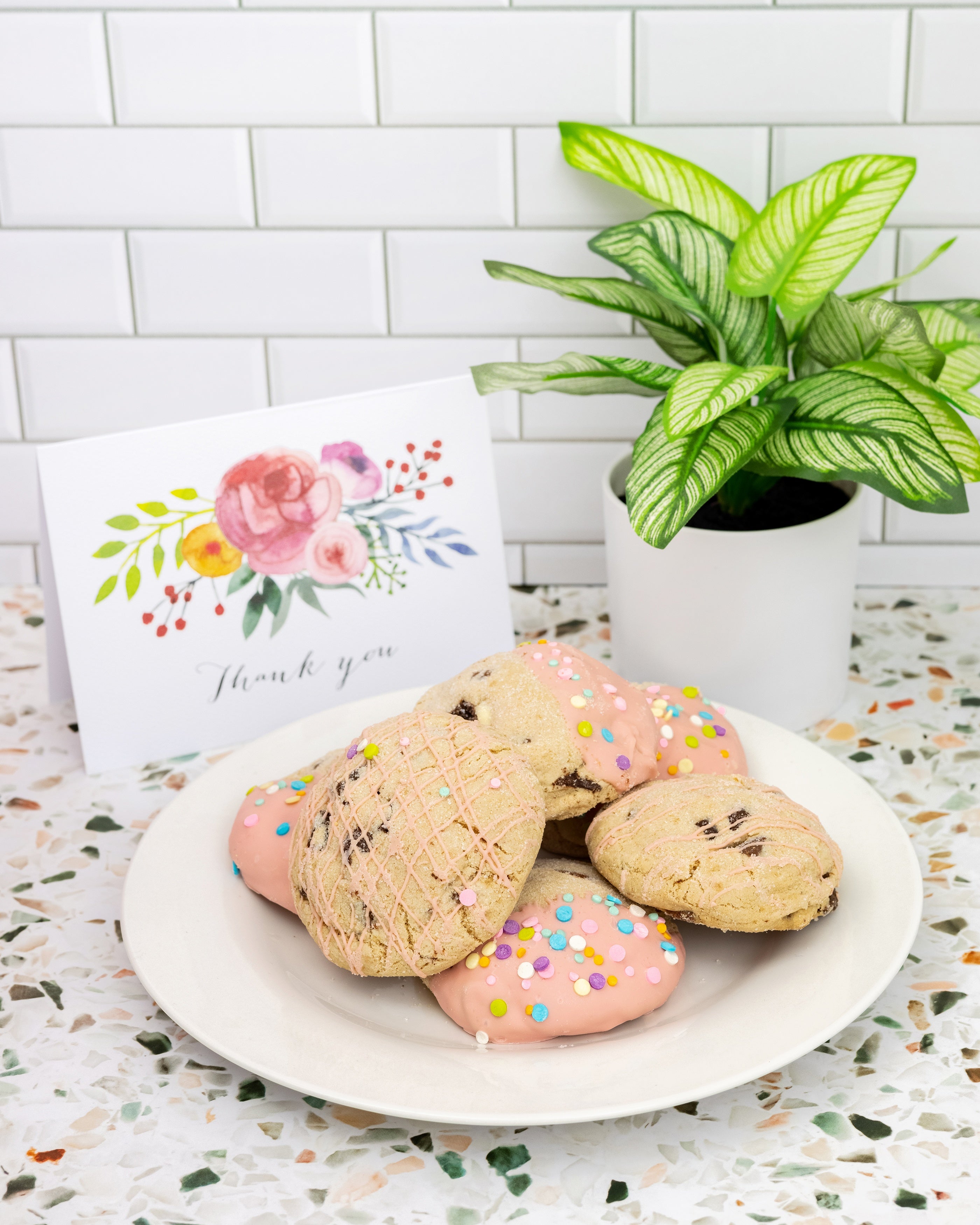 We R Makers ShotBox ShotDrop Photo Background Kit-20"X20"