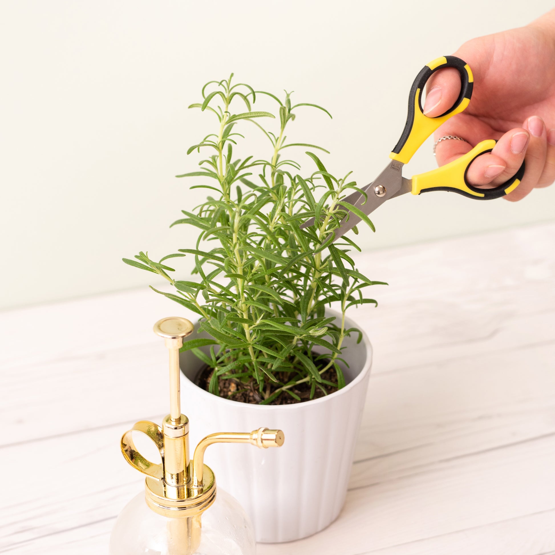 EK Tools Cutter Bee Small Precision Scissors