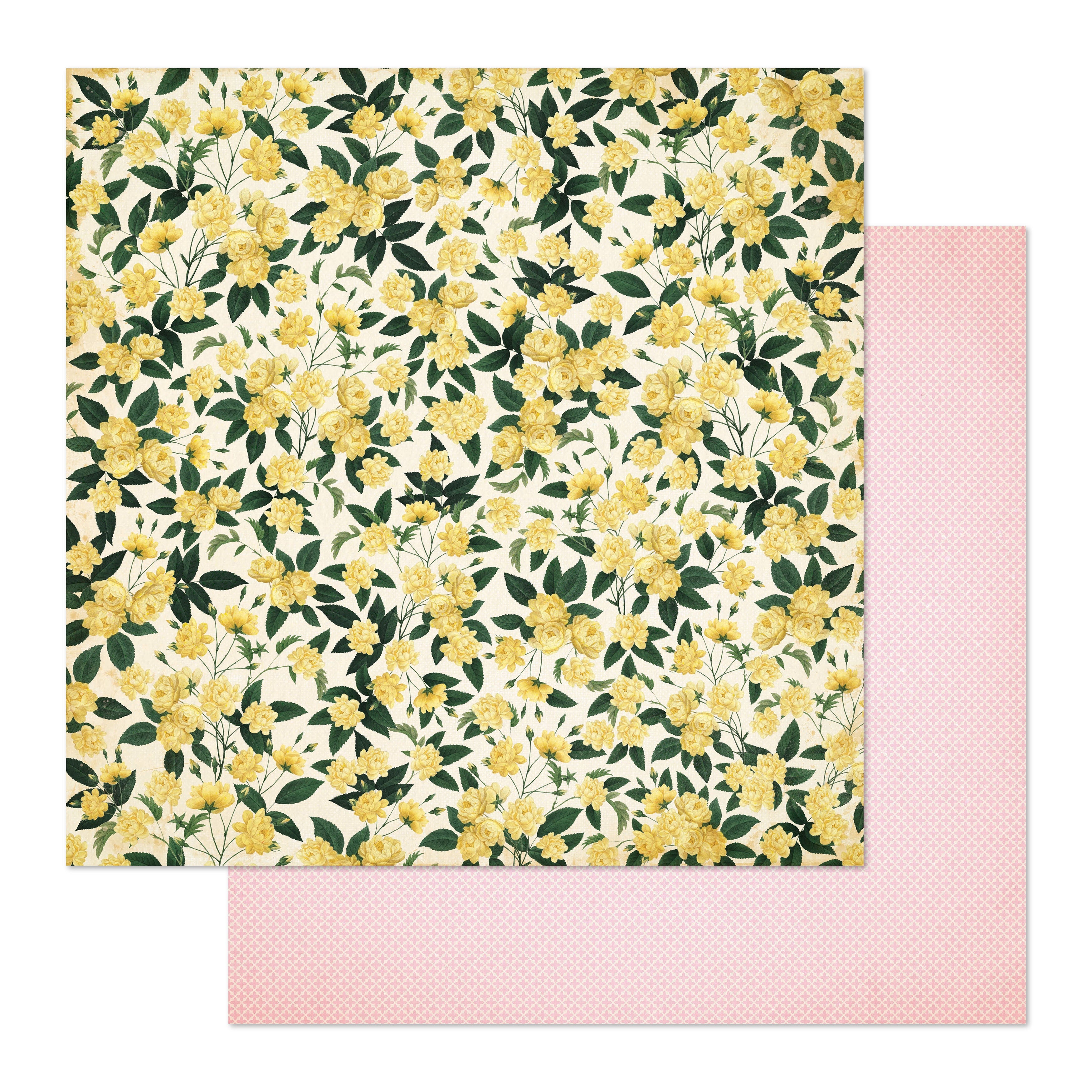 Brighton Double-Sided Cardstock 12"X12" - 25 sheets, Available in Multiple Styles