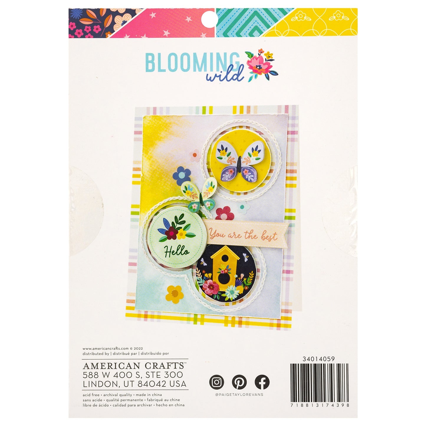 American Crafts Single-Sided Paper Pad 6"X8" 36/Pkg-Paige Evans Blooming Wild