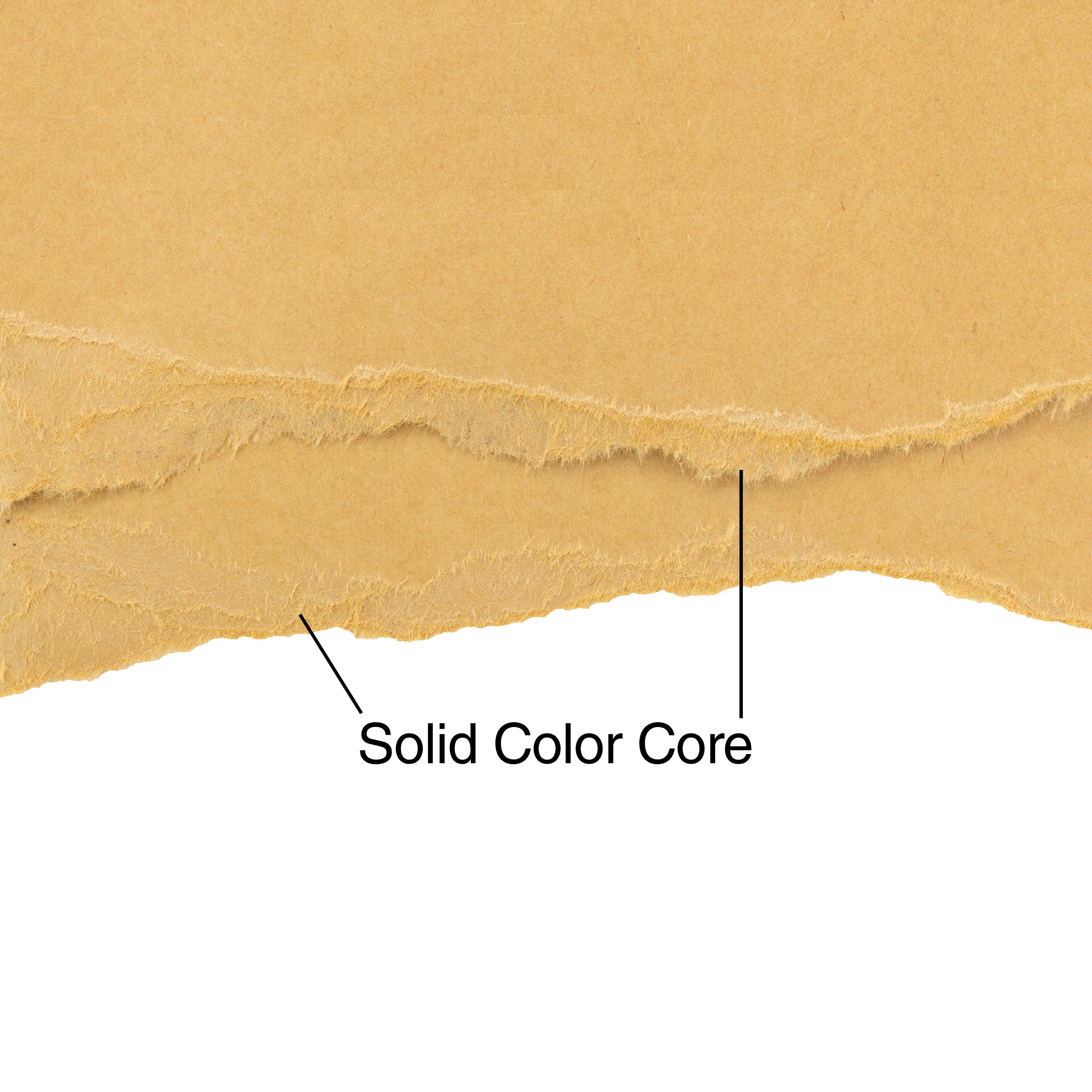 Harmony Hues Smooth 12x12" Cardstock - Assorted Styles