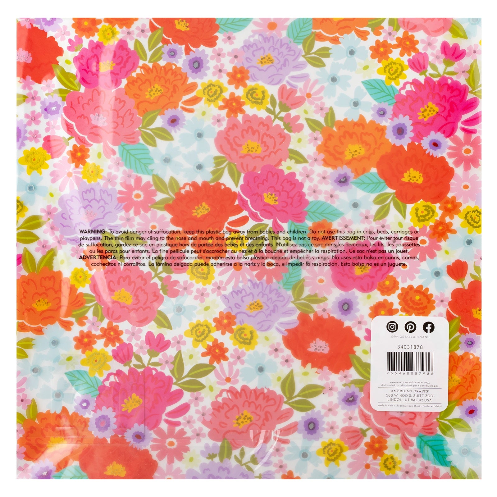 Paige Evans Adventurous 12x12" Printed Acetate Sheet