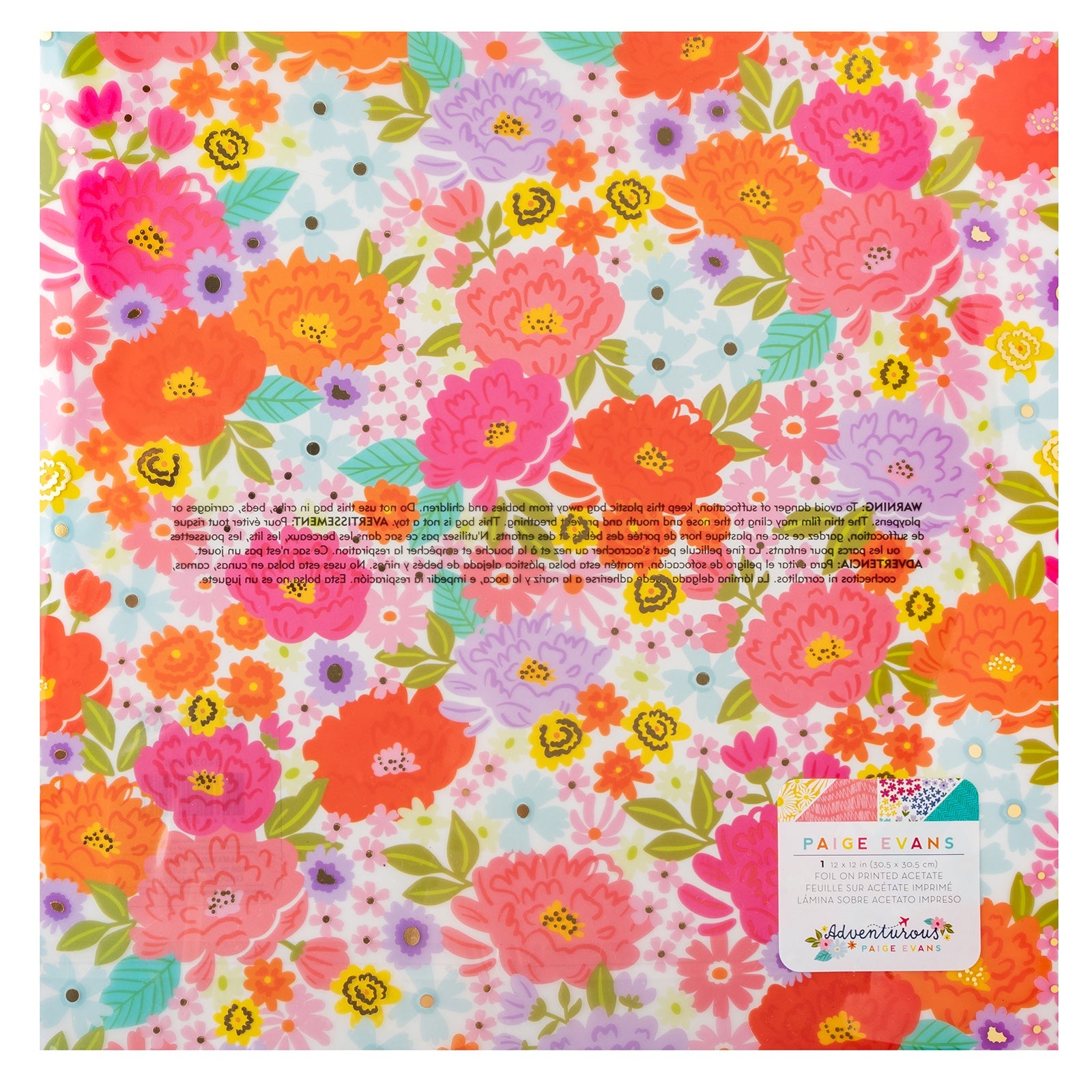 Paige Evans Adventurous 12x12" Printed Acetate Sheet