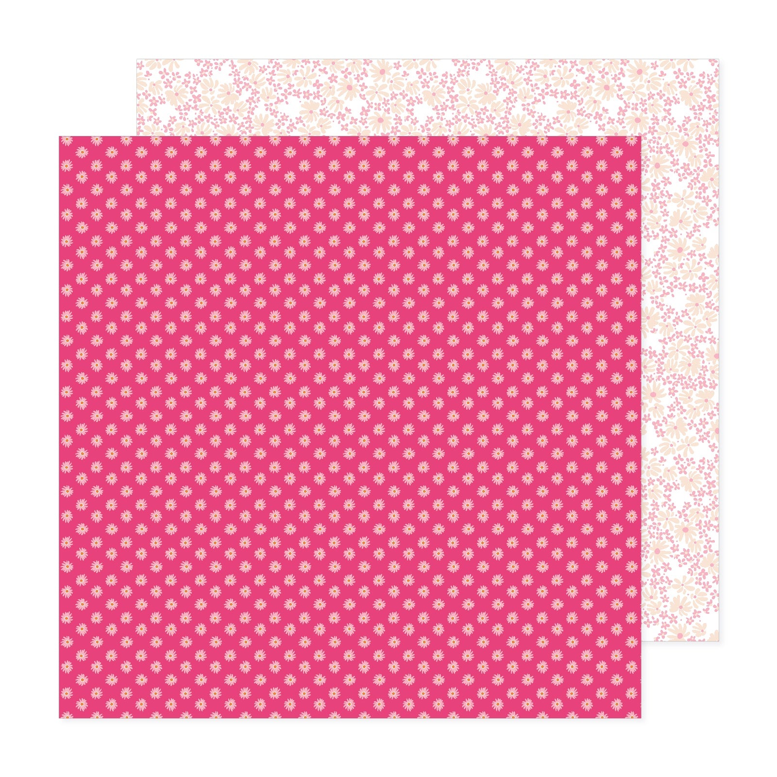 Paige Evans Adventurous Double-Sided 12x12" Cardstock Packs