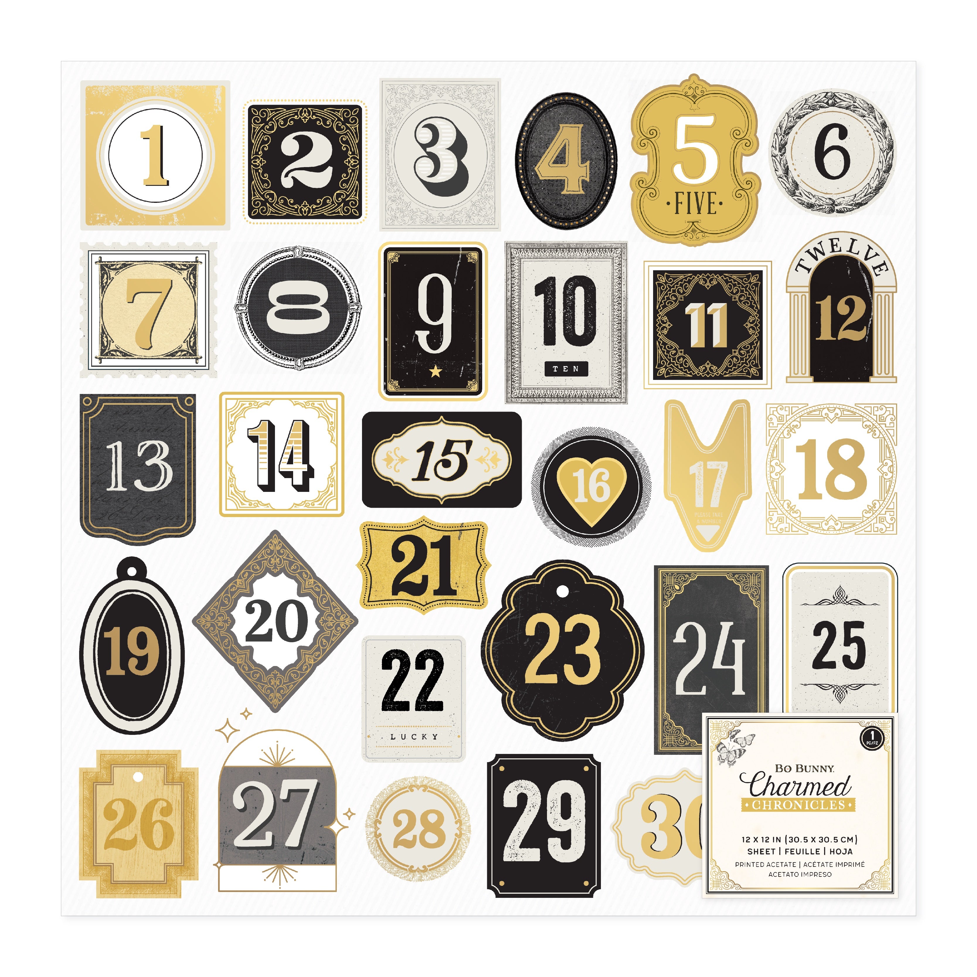 BoBunny Charmed Chronicles 12x12" Printed Acetate Specialty Paper