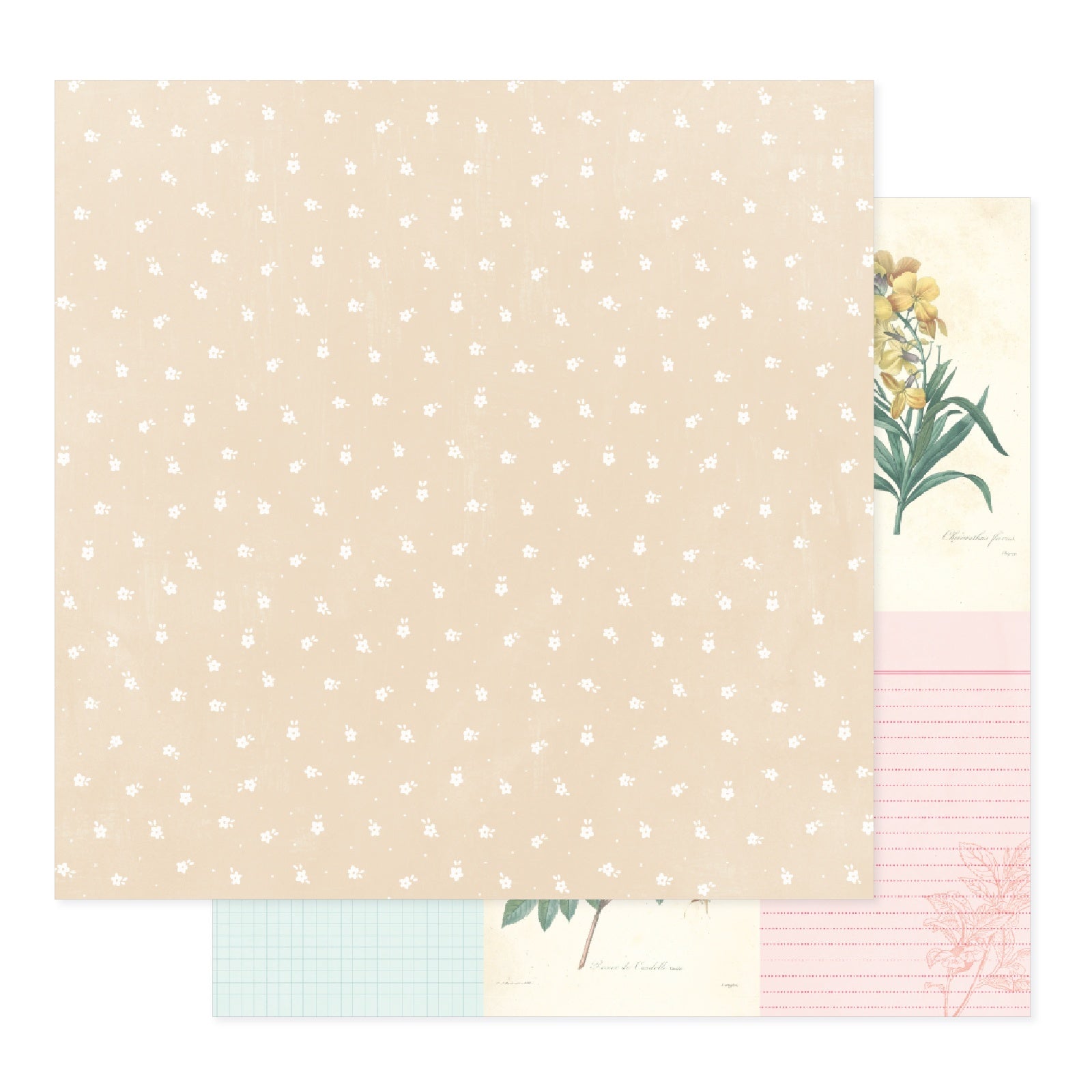 Bea Valint Sketchbook 12x12" Double-Sided Cardstock, 25 sheets - Available in Assorted Styles