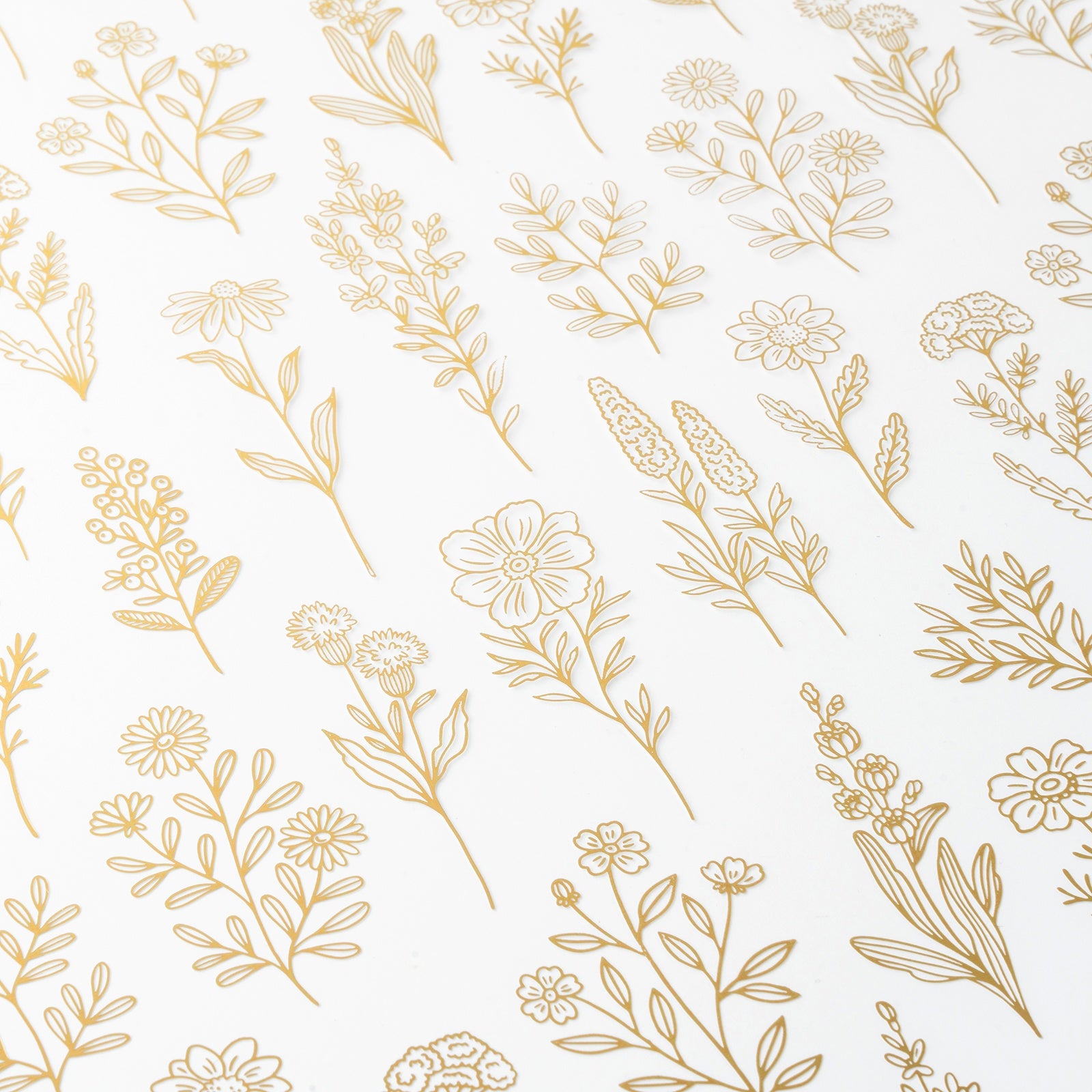 Bea Valint Sketchbook 12x12" Acetate Specialty Paper