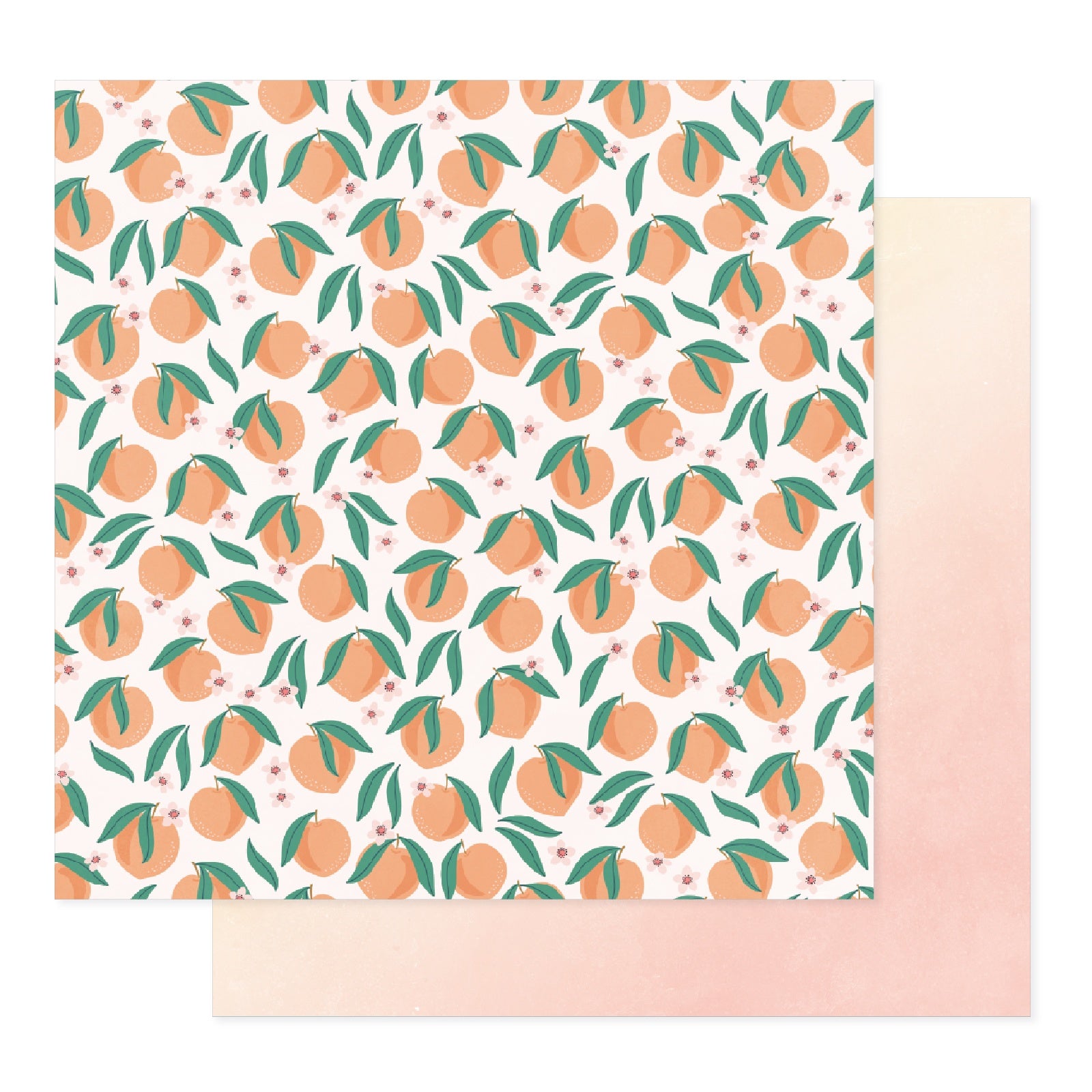 Bea Valint Sketchbook 12x12" Double-Sided Cardstock, 25 sheets - Available in Assorted Styles