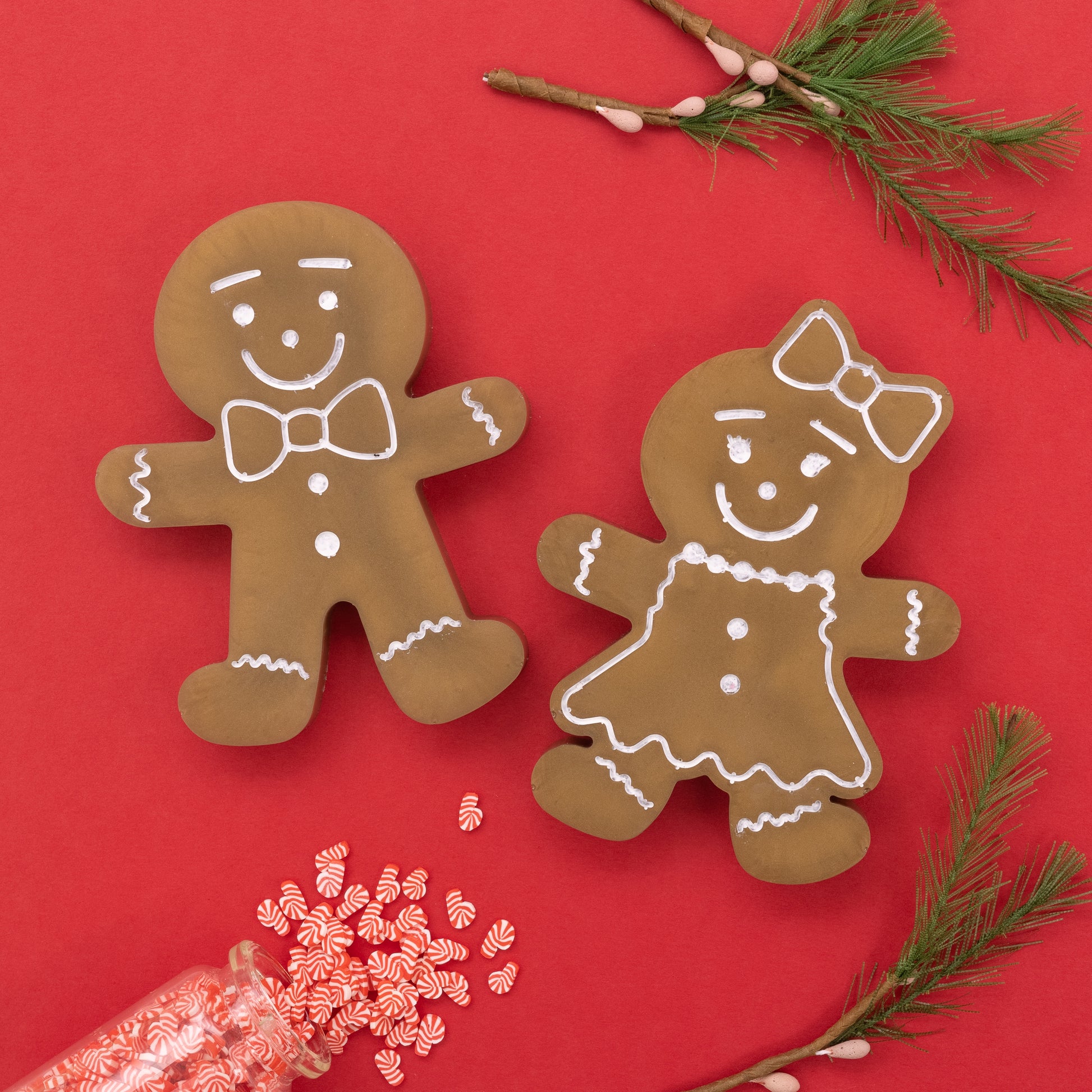 AC Color Pour Gingerbread Coaster Resin Mold