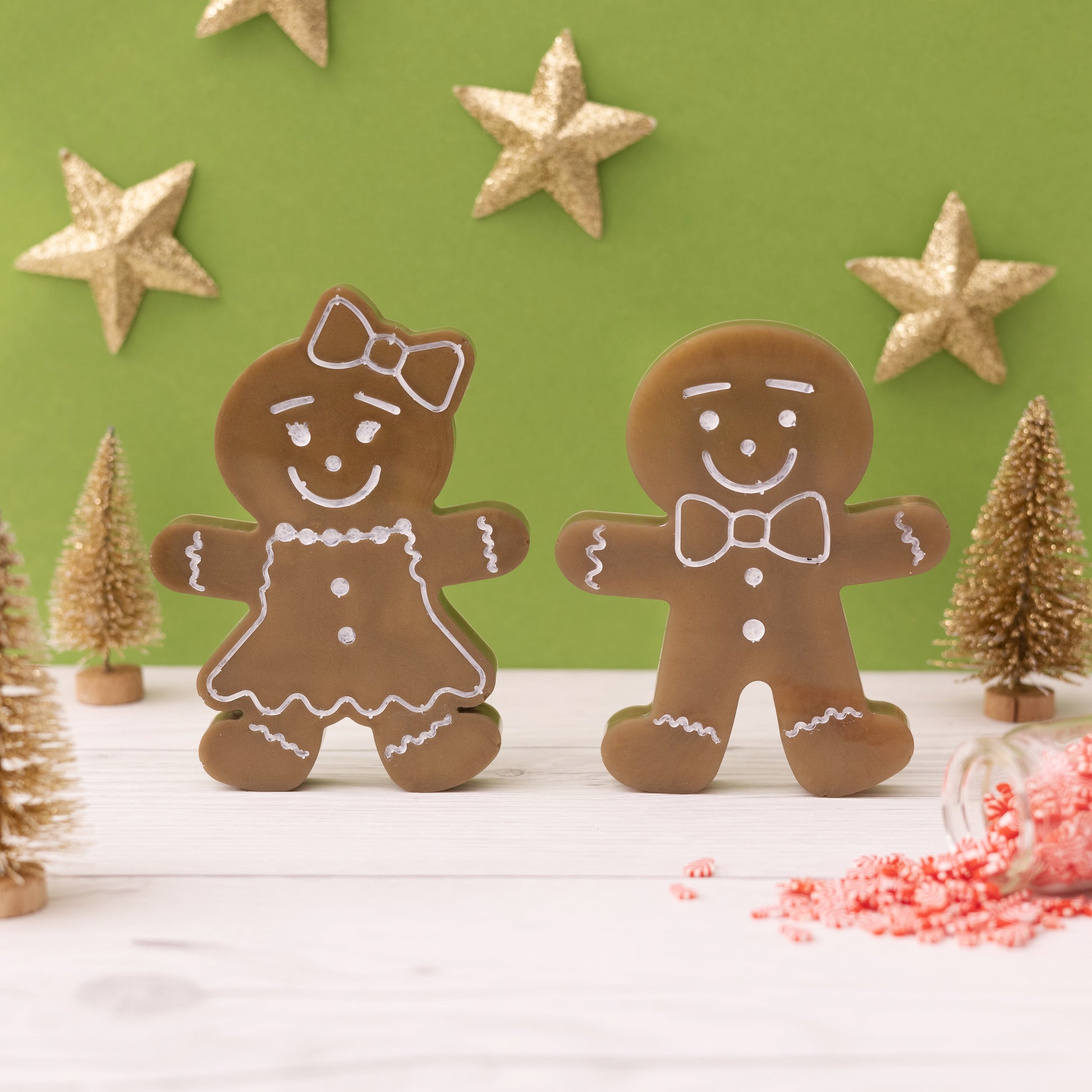 AC Color Pour Gingerbread Coaster Resin Mold