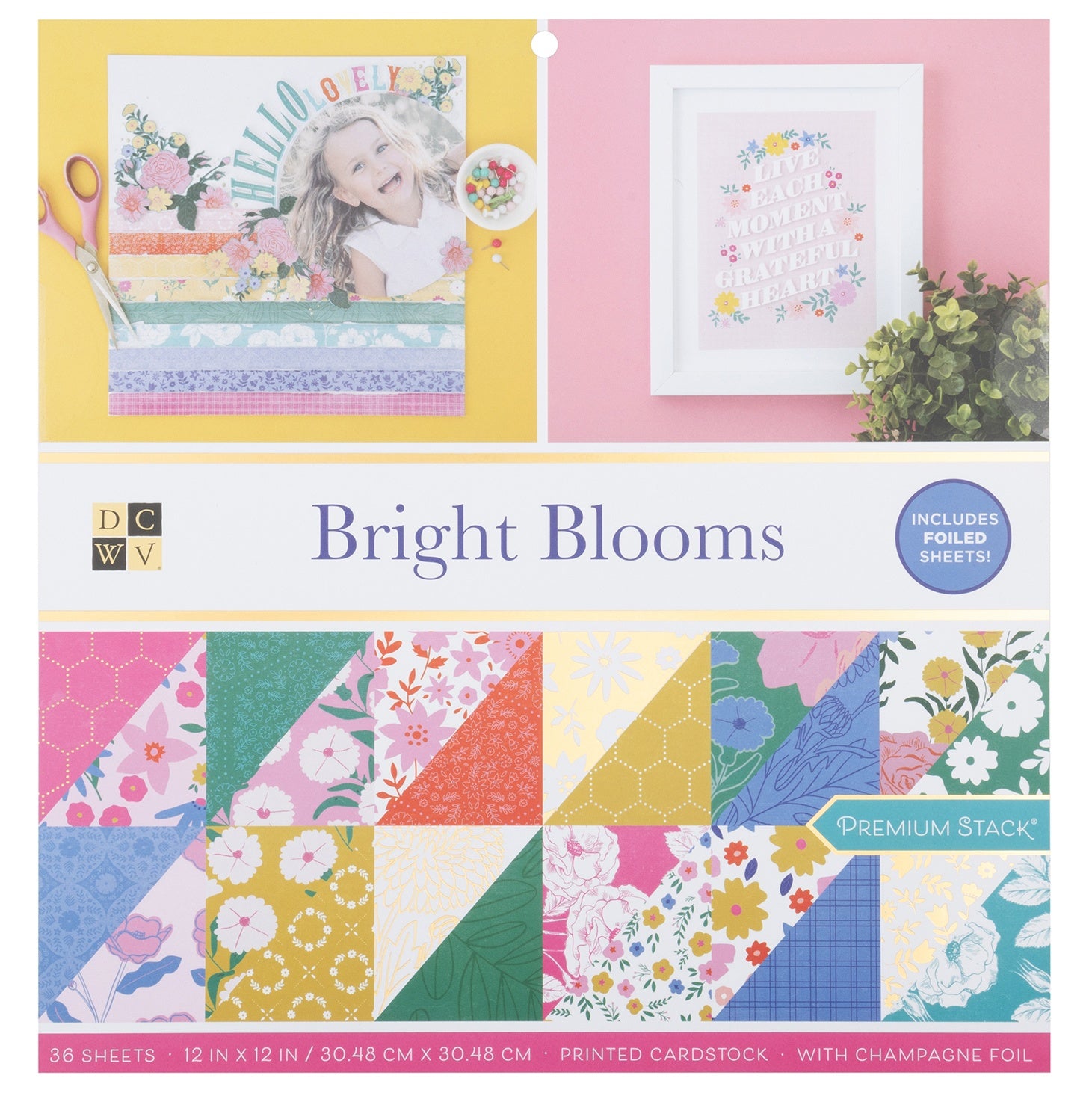DCWV 12x12" Premium Paper Pack