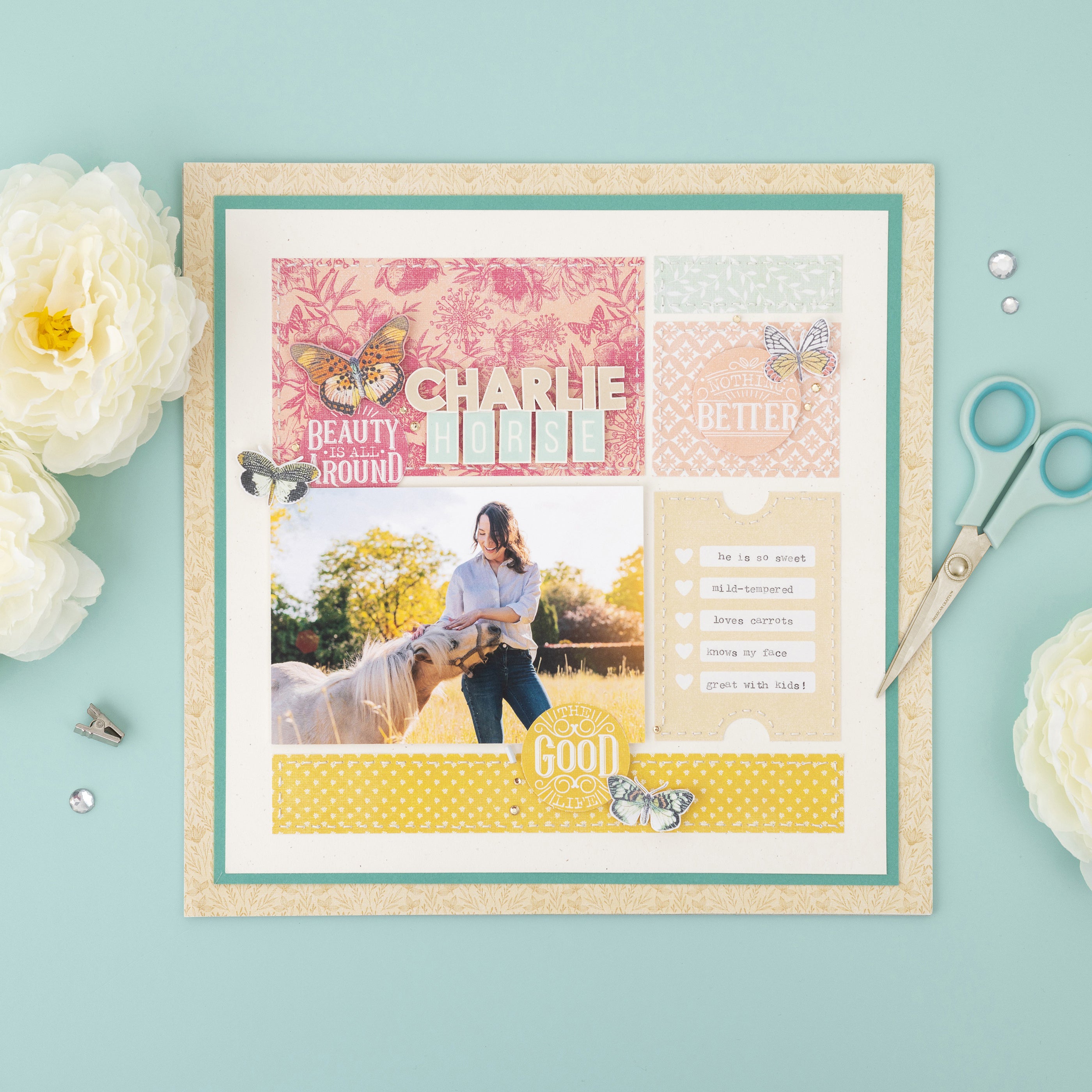 DCWV 12x12" Premium Paper Pack - Assorted Styles